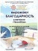 Благодарность — Туристский Ориентир Чувашия